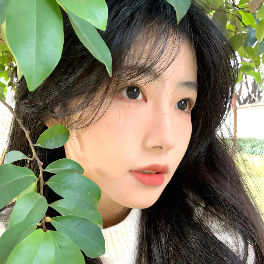 汽车女窃贼