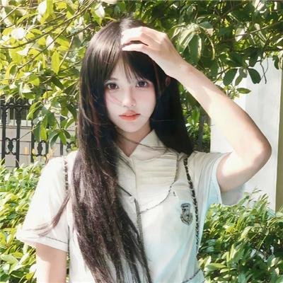 鲨与鲸